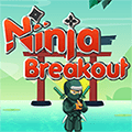 Ninja Breakout